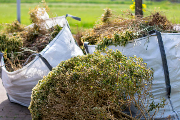 Best Junk Hauling Services  in Roswell, NM