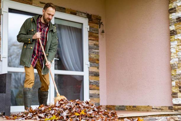 Best Junk Removal Near Me  in Roswell, NM